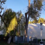 FOTO DE GLOBO TÉRMICO