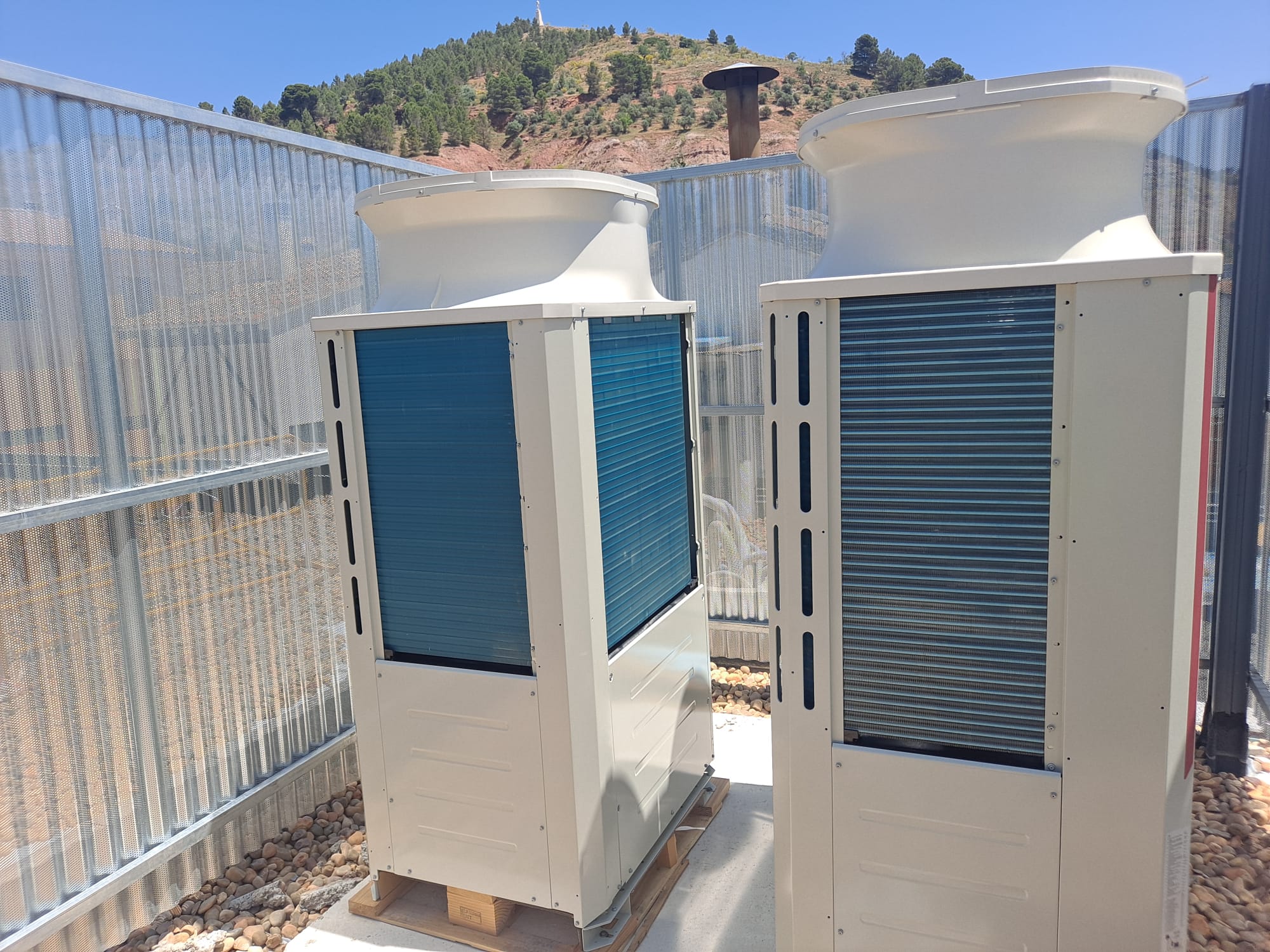 WhatsApp Image 2026-01-10 at 07.15.41