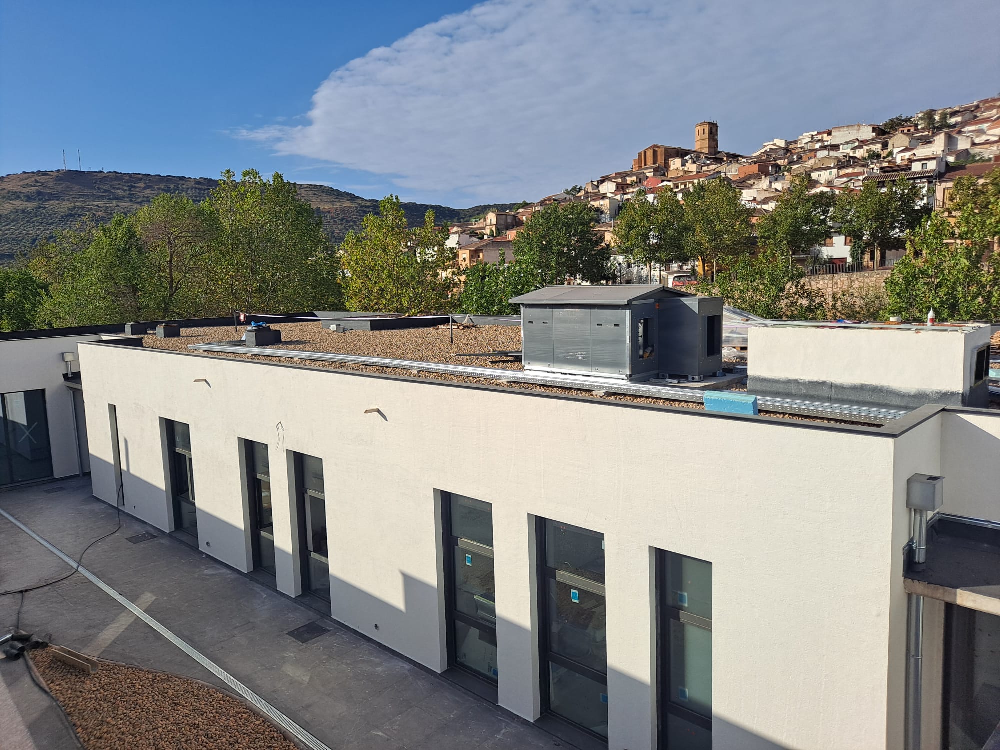 WhatsApp Image 2026-01-10 at 07.19.25