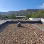 WhatsApp Image 2026-01-10 at 07.19.52