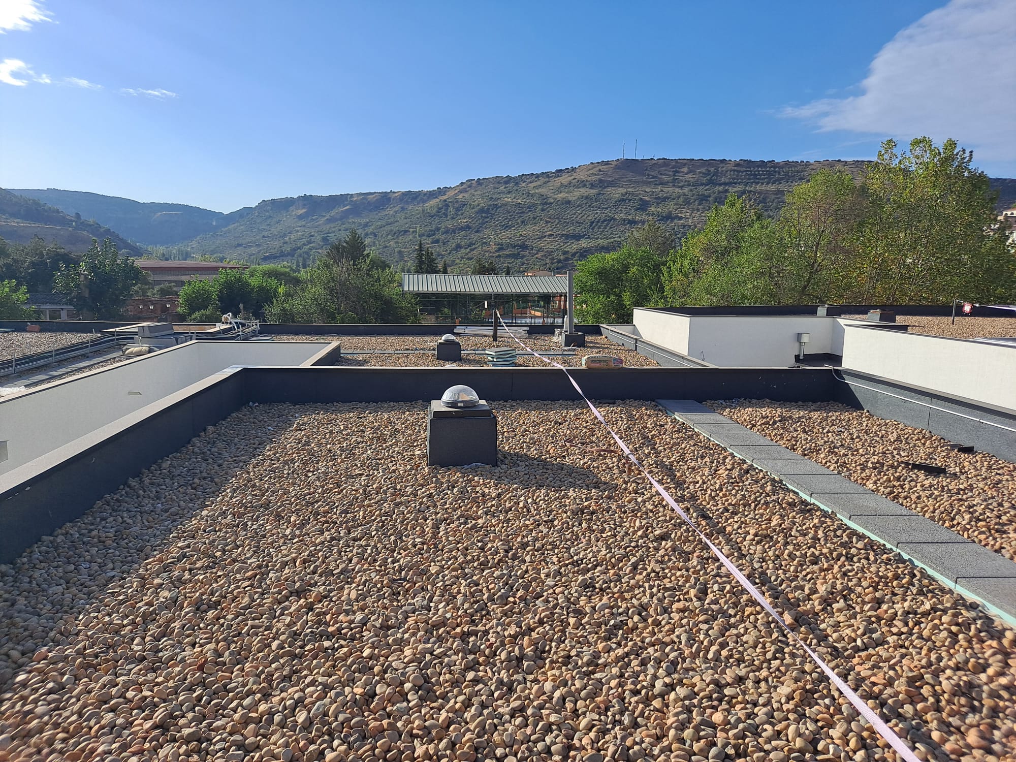 WhatsApp Image 2026-01-10 at 07.19.52