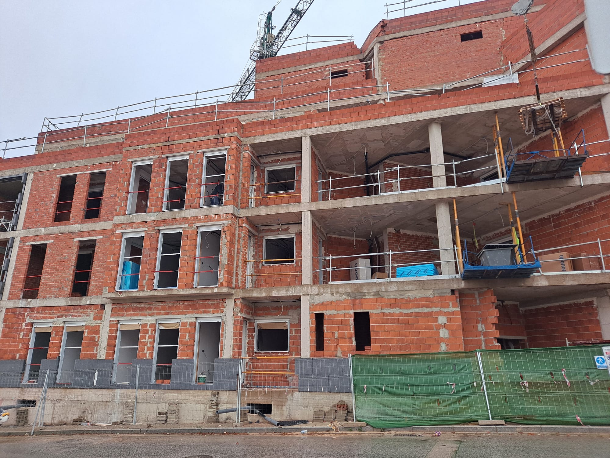 WhatsApp Image 2026-01-11 at 22.50.17