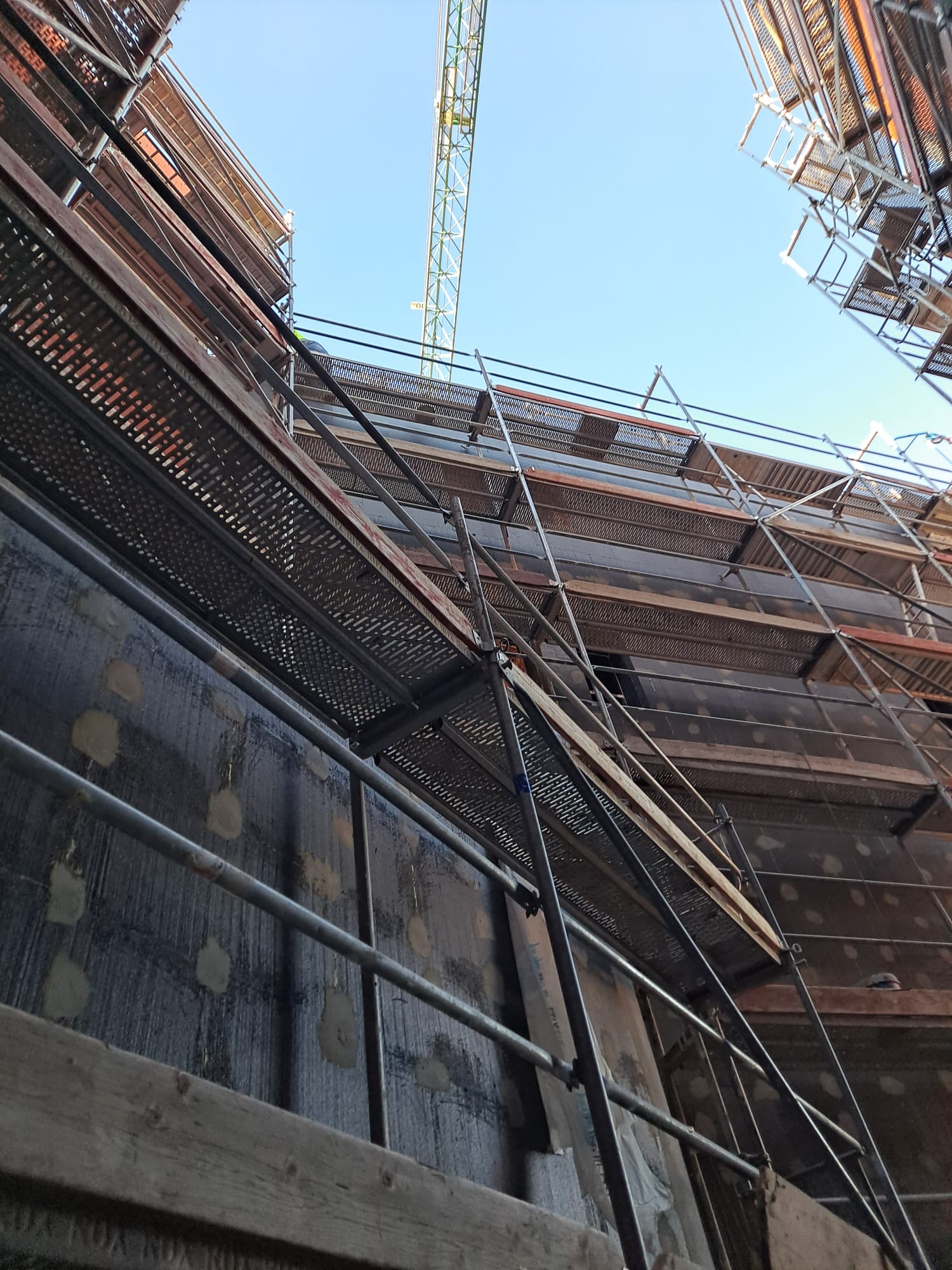 WhatsApp Image 2026-01-11 at 22.51.53